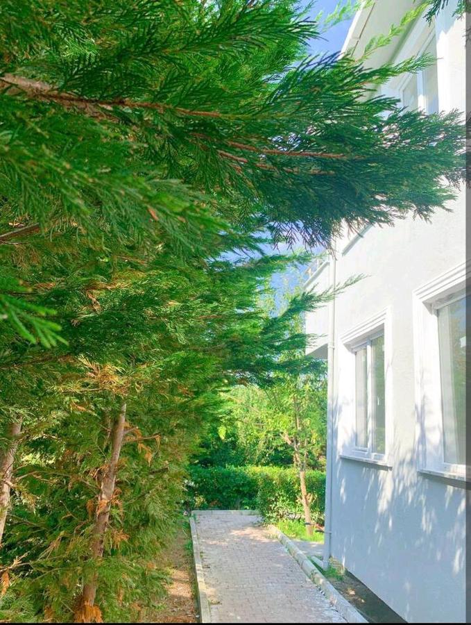 Kapali 13 Arnavutkoy Exterior foto